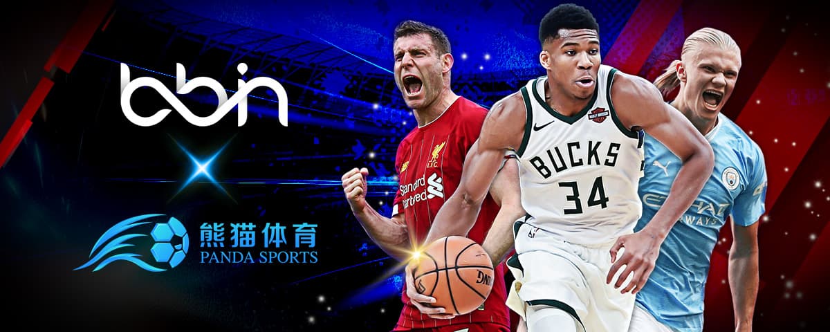 什么我们今